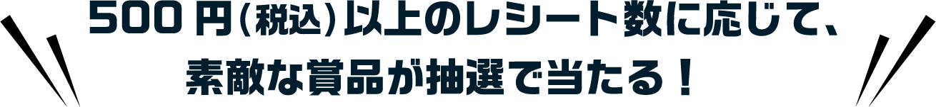 500円(税込)以上のレシート数に応じて、素敵な賞品が抽選で当たる！